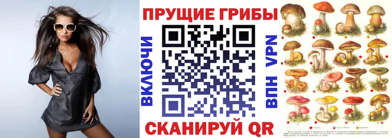 Псилоцибиновые грибы MAGIC MUSHROOMS  Купить  Туран 